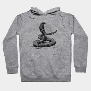 Cobra Ink Drawing Hoodie